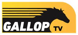 horse racing gallop|Gallop.co.za .